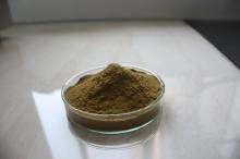 Ivy Extract