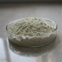  Andrographis   Extract 