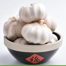 Chinese normal white garlic good price