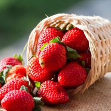 fresh strawberry