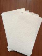 Wrinkled Oil Filter Paper