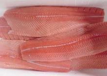 Frozen Mackerel Fillets - Pacific Hake Fish-Salmon