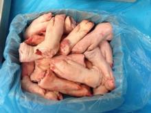Frozen Pork Cutting Fat Frozen Pork Tenderloin Frozen Pork Hind Feet