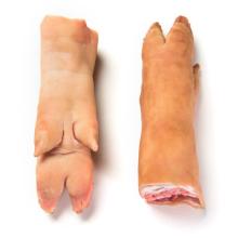 Frozen Pork Half Carcass Frozen Pork Leg Bone-in, Skin on Frozen Pork Leg, Bone-in Skinless Pork