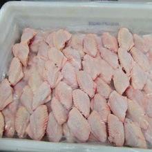 Frozen Chicken Paws/MJW/Breasts/Halal Frozen Whole Chicken
