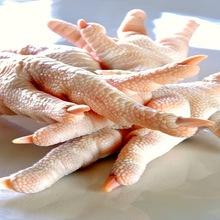 chicken,Halal Chicken Feet / Frozen Chicken Paws Brazil / Fresh chicken wings