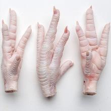 Halal Frozen Whole Chicken, Frozen Chicken Paws Frozen Processed Chicken