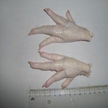 buy frozen chicken feet, Organic chicken feet for sale