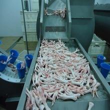 organic  frozen   chicken   feet , Frozen   Chicken   feet   price 