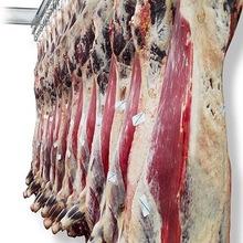 wholesale meat supplier, Wholesale Beef meat for sale