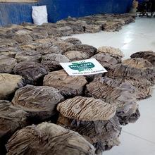 Dry Salted Beef Omasum and Buffalo Offals / Halal Beef Omasum/ Dried Salted