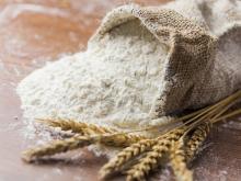 Best quality wheat flour