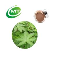Free sample organic  Sweet   tea   extract   powder 