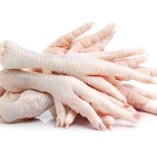 Cheap Halal Chicken Feet / Frozen Chicken Paws / Fresh chicken wings exporters