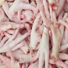 Halal Processed Frozen Chicken Feets & Paws China Mainland