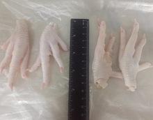 Halal Frozen Chicken Paw /Chicken Feet /Whole Frozen chicken
