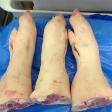 Reliable Supplier of frozen Pork hind feet,Front feet Quality Frozen Pork Feet