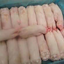 Frozen Pork ,Frozen Port Tail,Ears,Legs,Frozen Pork Feet for sale