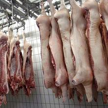 frozen Pork Head , Pork Hind Feet, Frozen Pork exporters