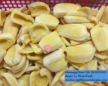 FROZEN JACKRUIT FROM VIET NAM