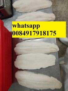 Frozen pangasius fillet / basa fillet / steak from Vietnam