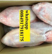 IQF Frozen Red Tilapia Fish Back Tilapia fish from VIETNAM