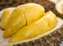 FRESH/ FROZEN DURIAN WITH HIGH QUALITY