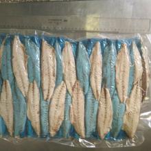 Precooked Pacific Mackerel fillet (Scomber Japonicus)