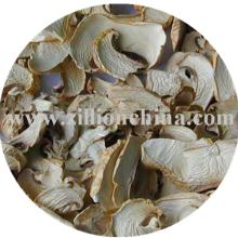 Dehydrated Mushroom
