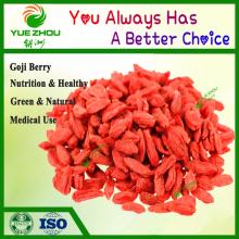 China Goji Organic Dried Goji Berry 220 240PCS Per 50g with Cheap Price