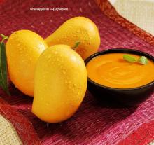  MANGO   PUREE  WITH HIGH QUALITY