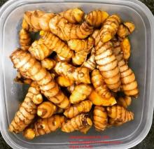  Fresh   Turmeric  In Everyday Life