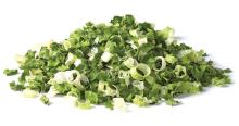 China supply Dried Green Onion tubes in bulk dried Spring Onion Flakes