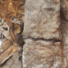 Wholesale Animal Dry And Wet Salted Skins Cow And Goat And Rabbit skin for sale,Germany good price supplier - 21food Wholesale Animal Dry And Wet Salted Skins Cow And Goat And Rabbit skin for sale,Germany good price supplier - 21food