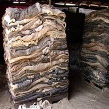 Animal Skin Dry And Wet Salted Donkey/Horse Hide /Wet Cow for sale