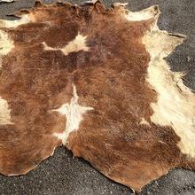 Wholesale Animal Dry And Wet Salted  Skin s Cow And Goat And  Rabbit   skin  for sale