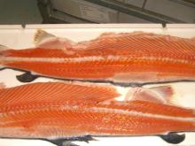 Frozen salmon backbones /salmon  frame s