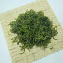 Wholesale Frozen Seaweed Wakame