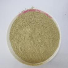 Food Grade Seaweed Extract Powder Kelp Extract Powder