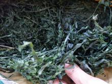 Dried Shredded Laminaria and Kelp