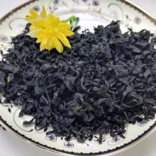 Wholesale China Product Salty Dried Cut Wakame Leaf