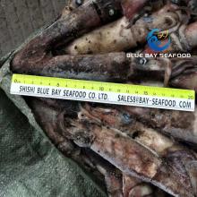 Seafrozen Tuna Bait Fishing Bait/Black Squid