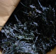 Factory Supply Machine  Dried   Shredded   Laminaria  Japonica  Dried  Cut Kelp