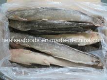 Hot Sale Frozen Cat Fish Wr for Africa Market