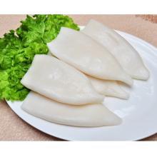 Cleaned Seafood Todarodes Squid Tube U8 U10 Frozen Squid Price Wholesale