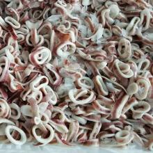Top Quality Seafood Frozen QS  Squid  Ring and IQF  Pacific   Squid  Ring (todarodes  pacific us)