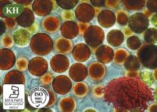 Astaxanthin Can Anti-Canser, Best for Your Eyesight