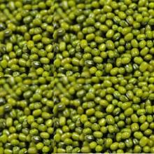 Green Mung Beans Whole From China