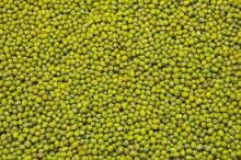 China Professional Manufactory Supply Dry Green Mung Beans