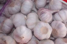 2018 Big Sale for Garlic Greenfarm